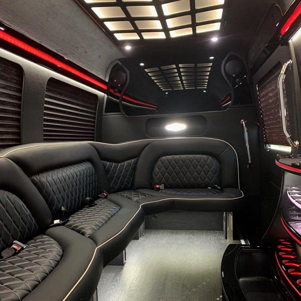 Luxury Party Bus night on the town transportation